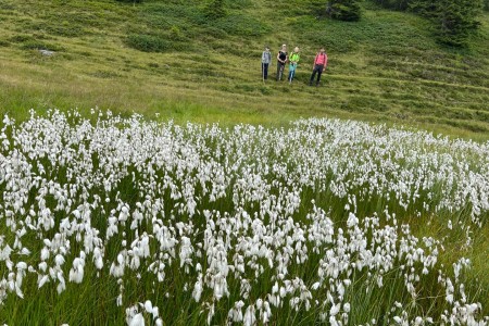 Wanderung mit Toni sen. im Ellmautal