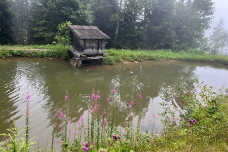 Wanderung mit Toni sen. im Breitenebenwinkel