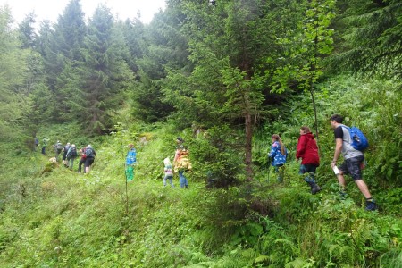 Wanderung mit Maria jun. zur Hirschgrubenalm