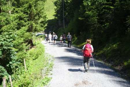 Wanderung mit Dominik zur Gerstreitalm und Heugathalm
