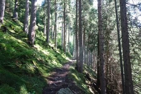 Wanderung mit Dominik zur Gerstreitalm und Heugathalm