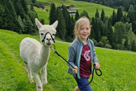 Alpakawanderung mit Karin