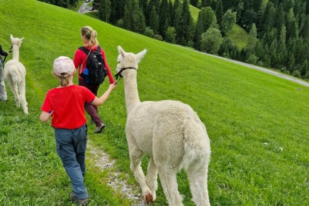 Alpakawanderung mit Karin