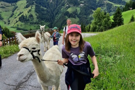 Alpakawanderung mit Karin