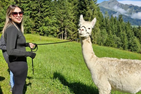 Alpakawanderung mit Karin