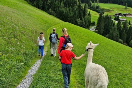 Alpaka Wanderung mit Karin