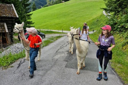 Alpaka Wanderung mit Karin