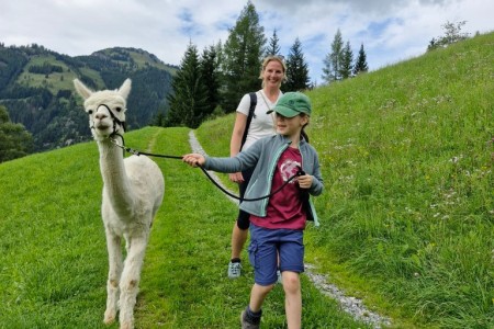Alpaka Wanderung mit Karin