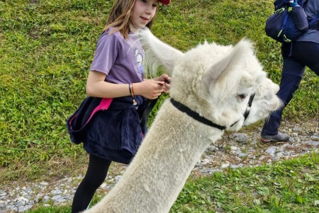 Alpaka Wanderung mit Karin