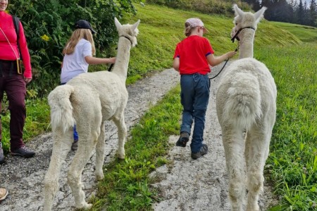 Alpaka Wanderung mit Karin