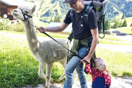 Alpakawanderung mit Karin
