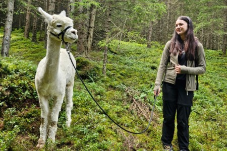 Alpakawanderung mit Karin