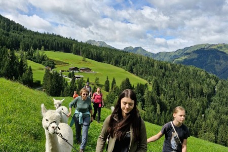 Alpakawanderung mit Karin