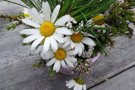 Hauswanderung mit Maria zur Großwildalm