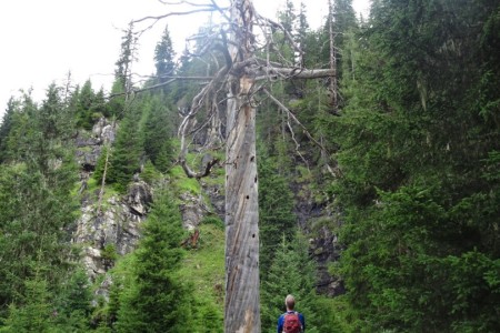 Hauswanderung mit Maria zur Großwildalm