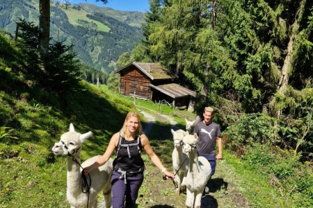 Alpakawanderung mit Karin