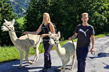 Alpakawanderung mit Karin