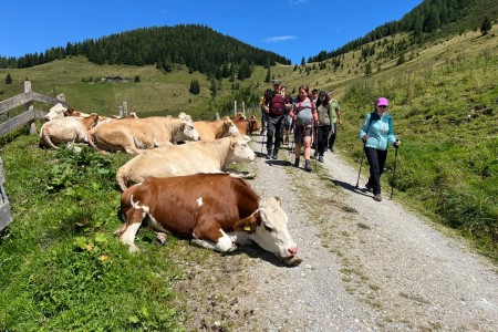 Hauswanderung mit Toni sen. zur Maurachalm