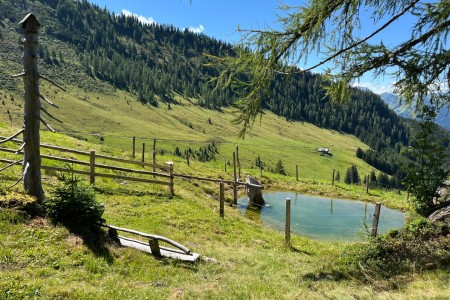 Hauswanderung mit Toni sen. zur Maurachalm
