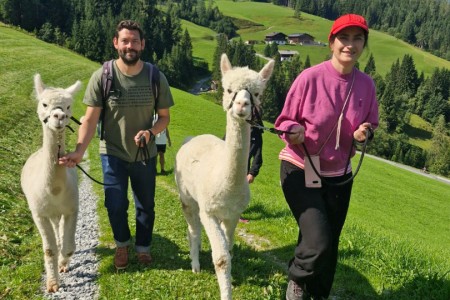 Alpakawanderung mit Karin
