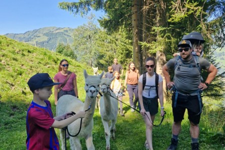 Alpakawanderung mit Karin
