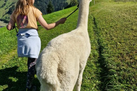Alpakawanderung mit Karin
