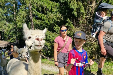 Alpakawanderung mit Karin