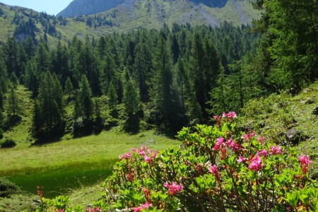 Wanderung mit Maria sen. zur Filzmoosalm