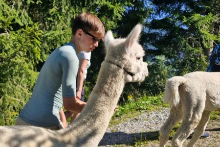 Alpakawanderung mit Karin