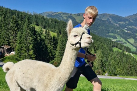 Alpakawanderung mit Karin
