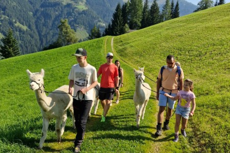 Alpakawanderung mit Karin
