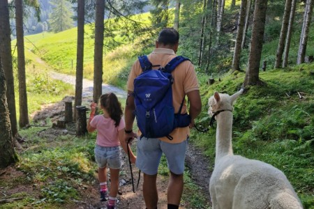 Alpakawanderung mit Karin