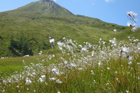 Wanderung mit Maria sen. zur Modereggalm
