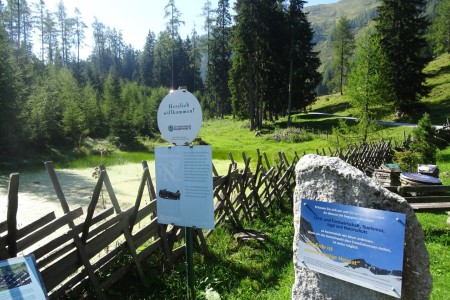 Wanderung mit Maria sen. zur Modereggalm