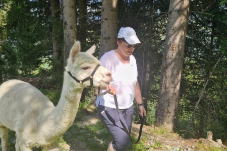 Alpakawanderung mit Karin
