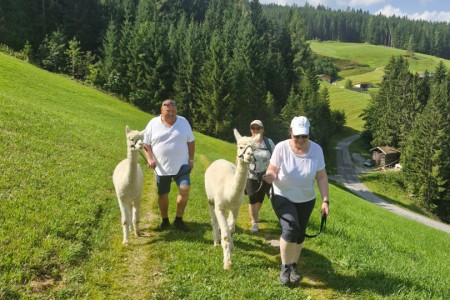 Alpakawanderung mit Karin