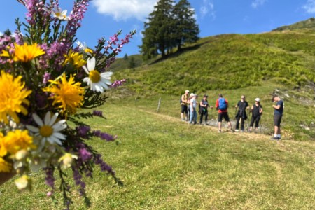 Wanderung mit Toni Sen. im Gebiet der Bergbahnen