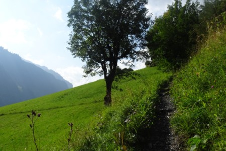 Wanderung mit Maria zur Aigenalm