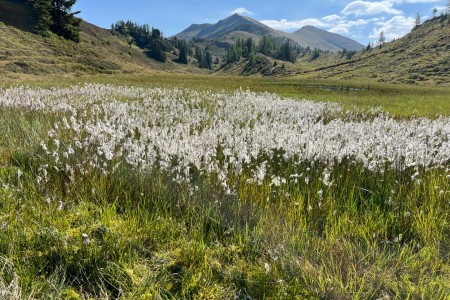 Wanderung mit Toni sen. zu den Spatlacken