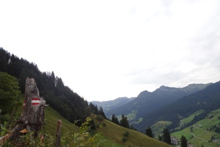 Wanderung mit Dominik zur Heugatalm