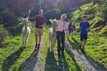 Alpakawanderung mit Karin