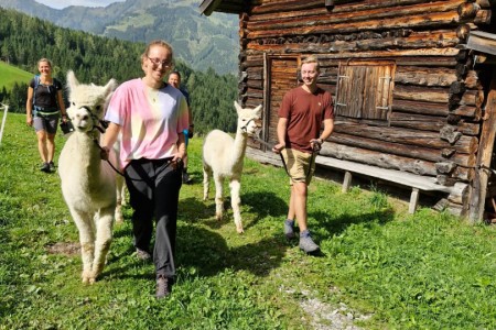 Alpakawanderung mit Karin
