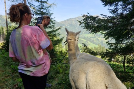 Alpakawanderung mit Karin