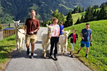 Alpakawanderung mit Karin