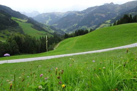 Wanderung mit Maria sen. zum Sonntagskogel