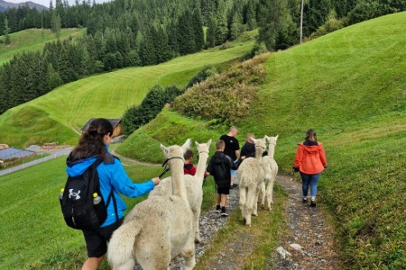 Alpakawanderung mit Karin