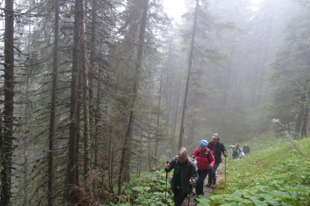 Wanderung mit Karin zur Karseggalm