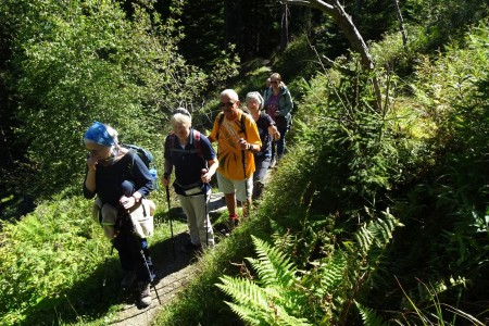 Wanderung mit Maria jun. zur Hirschgrubenalm