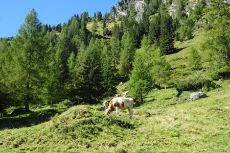 Wanderung mit Maria jun. zur Hirschgrubenalm