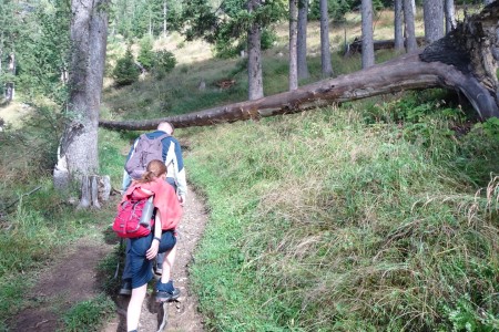 Wanderung mit Dominik im Niggeltal